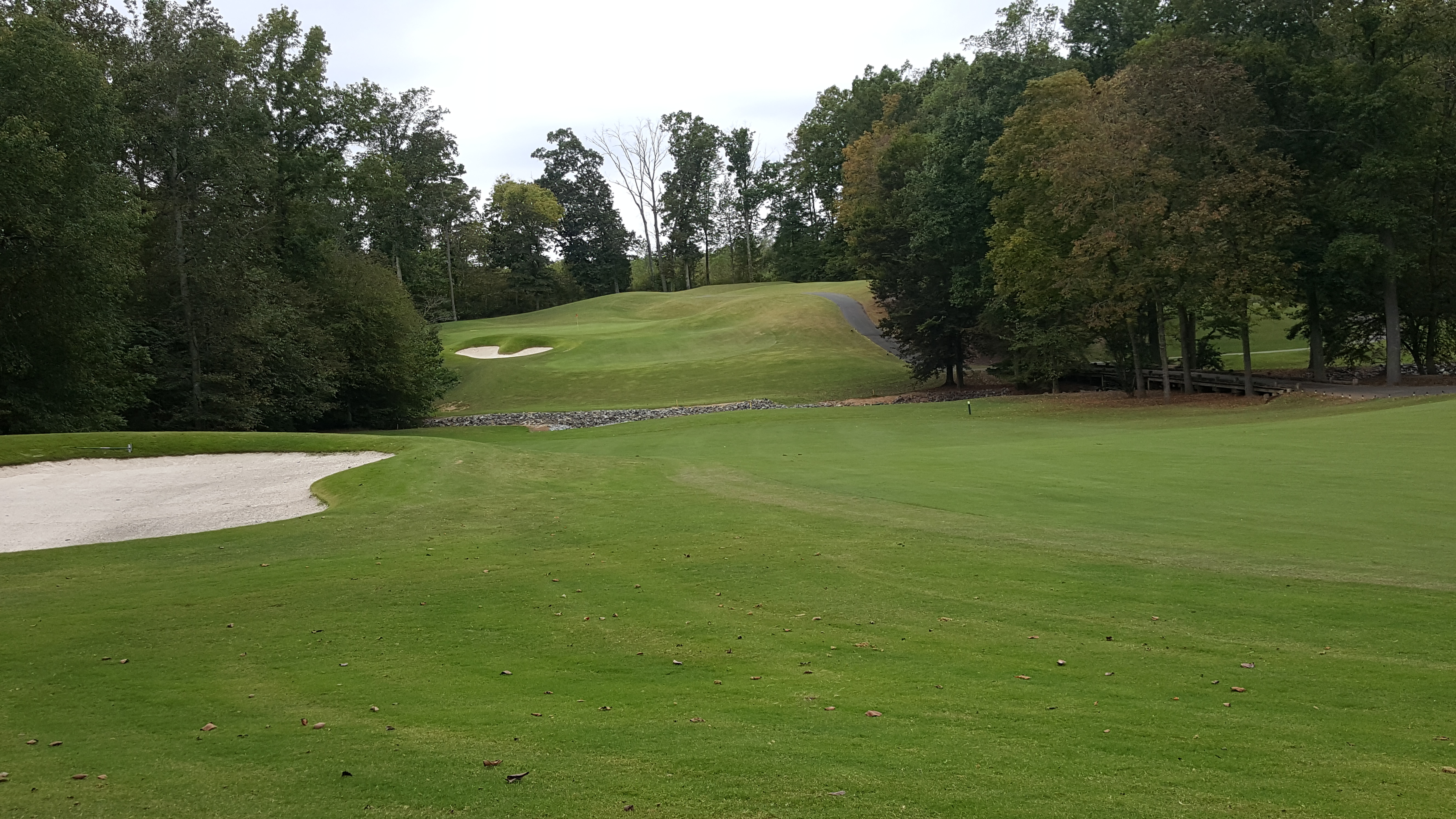 Back up the fairway to the green